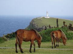 日帰り離島巡りの旅！与那国島