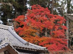 九州ふっこう割で大分の旅