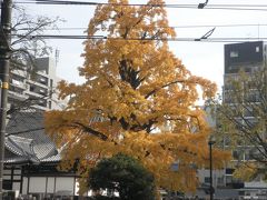 ちょっと寒いのね、青島。 (出国編）