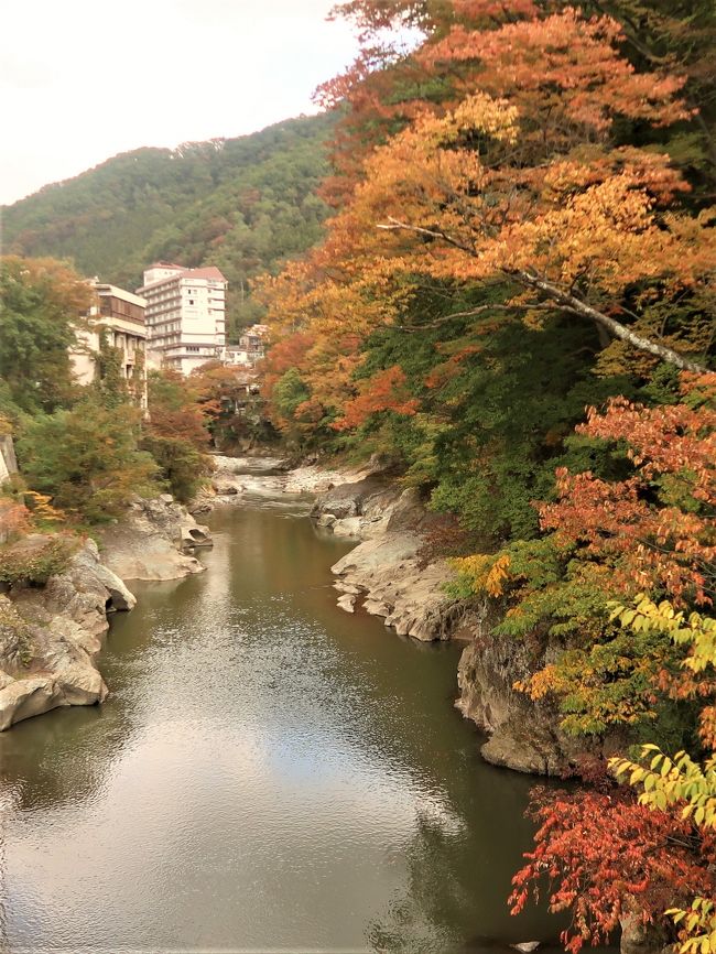 諏訪峡（すわきょう）は、群馬県みなかみ町、水上峡谷のすぐ下流にある渓谷です。諏訪峡は水上温泉を代表する景勝地の一つで、春は新緑、夏は涼、秋は紅葉、冬は雪景色と、四季それぞれに彩りを変えます。<br /><br />諏訪峡は渓谷の流れに沿って遊歩道が整備されているので、手軽に散策を楽しむことができます。2004年には、美しい日本の歩きたくなるみち推薦会議が発表した「美しい日本の歩きたくなる道500選」に、「渓谷美・諏訪峡を訪ねるみち」として諏訪峡が選ばれました。<br /> <br />関越自動車道・水上インターから国道291号線を谷川岳方面に5分、水上温泉の玄関口に水紀行館があります。水紀行館は、みなかみ観光の拠点施設として温泉情報や観光情報が充実した道の駅です。駐車場(140台)やトイレが24時間開放され、温泉の足湯(無料)もあり気軽に利用できます。<br /><br />また農産物の直売や水上の名産品など買い物を楽しむことができます。<br /><br />水紀行館の隣には清流公園があり諏訪峡への入り口になっています。諏訪峡は水上を代表する奇岩、怪石が連続する渓谷で、高さ30mの坊岩や乳岩(夫婦岩)、玉簾(たますだれ)の滝、20mの岸壁にかかる吊り橋の笹笛橋などの見所があります。<br /><br />これらの見所を見て回るコースが諏訪峡遊歩道です。遊歩道は全長2.5kmで約1時間半の道のり、四季を問わず散策を楽しむことが出来ます。<br />（http://www.tabi2ikitai.com/japan/j1001a/a01001.html　　　より引用）<br /><br />諏訪峡　については・・<br />http://www.minakami-onsen.com/see.php?itemid=1558<br /><br />群馬県の観光については・・<br />http://gunma-dc.net/<br /><br />『食・温泉・美景を堪能！和風名旅館で過ごすお誕生日紅葉ミステリー２日間』　<br />　クラブツーリズム　25,000円<br />