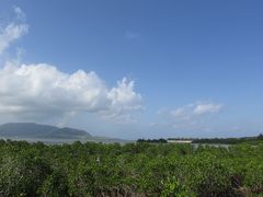 八重山に癒しを求めて