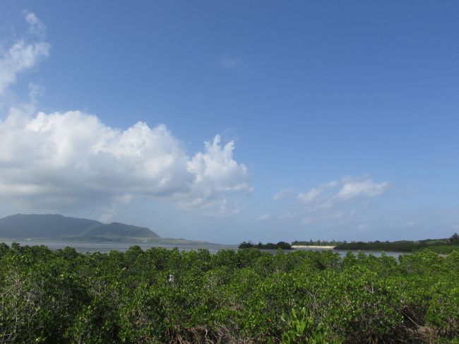 急に仕事の予定がなくなったので石垣島に癒しを求めて行ってきました。<br />だから今回はあまり予定を入れず思いついた所に行く感じにしました。