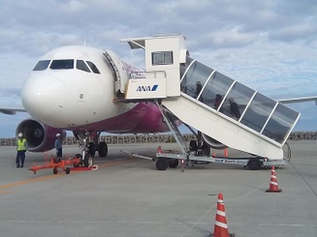 いままでほとんどキャリアの航空会社の飛行機を利用して飛んでいましたが、<br />はたして日本のLCCというものはどんなんだろう、<br />うわさでは、座席が狭い・搭乗のルールがきびしい・そのルールの適用もきびしい・定時に発着しない、<br />などの価格が安いかわりに覚悟しなければならない点がかなりある、とのこと。<br />実際乗ってみて体感してこようと思いました。<br /><br />羽田から沖縄まではJAL.<br />沖縄から台北までLCCのピーチ。<br />そして台北から成田までやはりLCCのバニラエア。<br /><br />沖縄LCC搭乗がメインのレポートです。