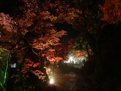 2016年　11月　岐阜県　土岐市　山神温泉