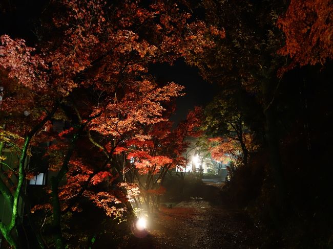 ラジウム泉の山神温泉へ。<br />料理の器も凝っており、また紅葉もキレイなおすすめの宿。