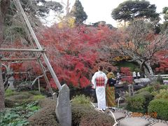 (2/2)　素敵な街　古都鎌倉の紅葉を楽しむ　－　鶴岡八幡宮、長谷寺　１２月　２０１６年