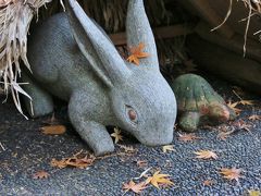 鎌倉紅葉巡り 2016 ～円覚寺・明月院～