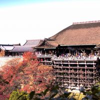 京都紅葉を求めての旅