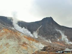 箱根仙石原に宿泊して、その４　仙石原の別荘地をお散歩＆久々の大涌谷は途中から雪！