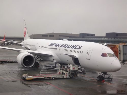 JALビジネスクラスで行くドイツ・フランクフルト ② JGC会員への
