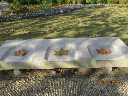 松江中央公園に紅葉を見に来ました。プラタナスが主体ですが銀杏の樹も少しありましたが、紅葉しない内に葉が落ちたのでしょうか？葉の無い樹が多く見受けられました。<br />上海市松江区政府サイトに寄れば以下の通りです。<br />松江中央公園は松江新城の園中路にあり、松江区政府の南側、思賢公園の北東側、松江図書館の東側に位置しています。鬱蒼とした木々に囲まれ、景色がよく、人工池が横たわっており、公園周辺のヨーロッパ風別荘や政府機関のオフィスビルと一体化しています。公園は縦300メートル、横2200メートルで、敷地面積66万平米もあり、上海で単体面積が最も大きい都市中央公園の一つであります。公園はカナダ・アメリカなどの海外デザイン事務所と上海市園林設計院の共同設計の成果です。エコ・自然をテーマにした松江中央公園は、自然への回帰を思い出させる環境保護型の公園です。