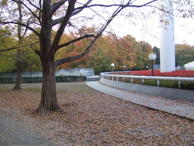 駒沢公園散策 2005/12/03<br /><br />妻と駒沢公園を散策しました<br /><br />駒沢公園について<br /><br />所在地: 駒沢公園1-1-1 ℡3421-6431(管理所)<br />交通: 「駒澤大学駅」徒歩 12分<br />営業: 施設休業:: 第 1.3月曜、年末年始<br />スポーツ:体育館/陸上/テニス/野球/サッカー・ラクロスetc/弓道、屋外プール/フィットネスジム /Street>系( 3on3 インラインスケート BMX ) /サイクリングコース etc