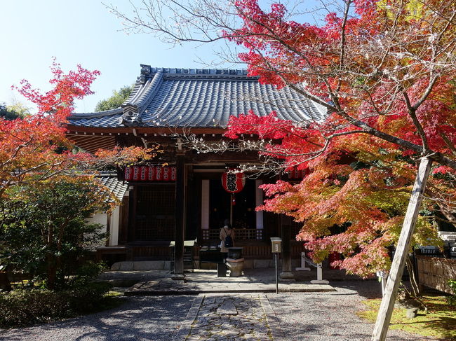 2016年秋、紅葉の京都の旅。<br /><br />盛りの少し前の赤山禅院へ。かえって、赤、黄、緑がおりなす錦模様を楽しむことができました。<br /><br />人出も少なめで、禅院らしい静かな雰囲気。境内には七福神の福禄寿や、縁結びの神様など、小さいけれど趣のあるお寺でした。<br /><br />赤山禅院は比叡山延暦寺の塔頭。京都御所の表鬼門を守護しているのだそう。鬼門除けの猿の像もありました。<br /><br />表紙写真は、赤山禅院の地蔵堂前の紅葉と寒桜。