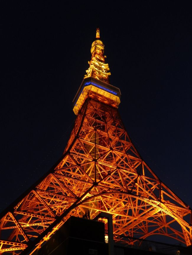 先週の表参道に続き、この週末は東京タワーのライトアップ、イルミネーションを見に行きました。<br /><br />---------------------------------------------------------------<br />スケジュール<br /><br />12月17日　自宅－六本木駅　森美術館観光－（徒歩）東京タワー観光　<br />　　　　　神谷町駅－銀座駅　銀座食事・散策－銀座駅－自宅