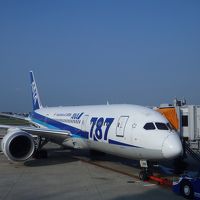 Cクラスで巡る東南アジア夏の旅：ANAジャカルタ線（B７８７）＆TGバンコク線（A３８０）[搭乗記＆データ編]