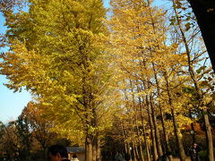 羽根木公園の紅葉 2006/12/02