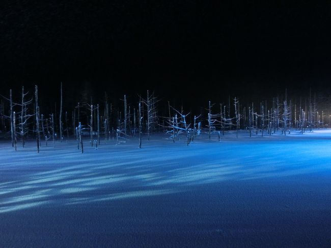寒いの苦手なんだけど、それでも北海道の冬が大好き!<br />旭川だけでもたぶん4、5回目くらい。<br />今回は滞在24時間なので、未踏の観光地2つに絞りました。<br /><br />①雪の美術館<br /><br />産後のデブが戻らないんですが・・・<br />恥を忍んでお姫様体験させていただきました( ゚ ▽ ゚ ;)<br />年考えろ!と自分でも言いたいですw<br /><br />やっぱりアナ雪効果で水色のドレスなんかが人気なわけですが、<br />私、まったく似合わない色なんです。<br />でも種類は豊富にあるので、ちゃーんと好みのものが見つかりました。<br />今度からこういうの娘にやってもらおう♪<br /><br />②美瑛の青い池<br /><br />夏は大混雑の青い池。<br />冬季解放されたのは2014年のこと。<br />3年目の今年は台風被害でどうなるかと思いましたが、無事に開催。<br /><br />美瑛町主催のライトアップバスツアーが便利でした。<br />たぶん半分以上は外国人観光客。<br />Twitterで問い合わせたり、HPをマメにチェックしておき、<br />2016年の場合は10/21に詳細がリリースされたのですぐに電話予約。<br /><br />もし丸2日あれば、旭山動物園を追加すると◎です。<br />この時期は比較的空いてるので☆<br /><br />【行程】<br />①羽田7:40→旭川9:20着(JAL特典旅行)<br /> 雪の美術館<br /> 青い池&白ひげの滝ライトアップツアー<br />②旭川10:00発→羽田12:00着(JAL特典旅行)<br /><br /><<<その他の恋する北海道シリーズはこちら>>><br />●2013夏 女ひとり冒険の旅★稚内経由→高山植物まっ盛りの利尻富士<br />https://4travel.jp/travelogue/10795379<br />●新撰組の歴訪シリーズ★函館編<br />https://4travel.jp/travelogue/10919392<br />●3歳娘と週末北海道【1】100年の時を愉しむ余市編<br />https://4travel.jp/travelogue/11295314<br />●3歳娘と週末北海道【2】イルミネーションと白恋パーク★札幌編<br />https://4travel.jp/travelogue/11310765<br />●女ひとり1泊2日で知床★超弾丸の流氷リベンジ inウトロ<br />https://4travel.jp/travelogue/11336564<br />●プリキュアになりたい★3歳娘と週末函館<br />http://4travel.jp/traveler/hagitchin/album<br />●復興支援で日帰り帯広★天然パッチワークの大地で12時間<br />https://4travel.jp/travelogue/11416527