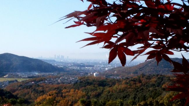 思い立って定光寺へドライブ、散策。<br />この時季にしては暖かく、天気もよく、絶好の紅葉狩り日和でした。