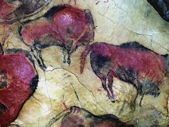 地球一周の船旅 vol.13 世界遺産 スペイン アルタミラ洞窟壁画　レプリカの洞窟内でも撮影禁止