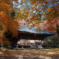 大分国東半島・宇佐神宮で神社仏閣巡り（2泊3日大分・福岡旅行1日目）