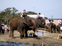 【2016】最後のマタ旅は近場の千葉県内で～市原編