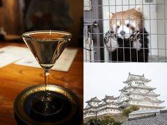 冬の兵庫旅No.1　レッサーパンダに会いに姫路市立動物園に行こう！立ち飲みとスーパーで買った神戸牛