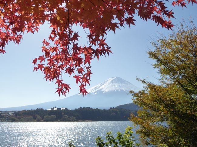 晩秋の優雅な伊豆と富士五湖　愛犬セレブの旅♪　Vol27（第5日目）　☆河口湖：紅葉の河口湖畔から富士山を眺めてお別れ♪