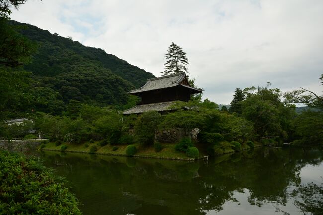 岩国城を訪問。