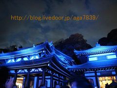 #305　2016年12月3日　鎌倉　長谷寺（長谷観音）　もみじ狩りぃ（１）・・・・・ライトアップされたもみじっす　皆さん知ってますね　ギャラリーがすごい初詣に来たのかって勘違いする位　混雑してました・・・・（苦笑　