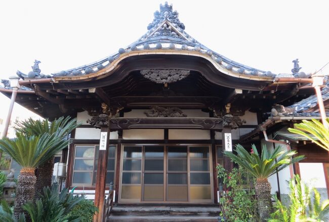 2015秋、安用寺と首題寺(3/20)：太治山・安用寺：本堂、蘇鉄、石竹、秋明菊、稲荷堂