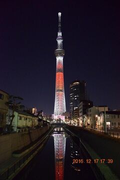 13 代々木公園で復活した青の洞窟と東京スカイツリーキャンドルツリー 16 渋谷 東京 の旅行記 ブログ By Jh2fxvさん フォートラベル