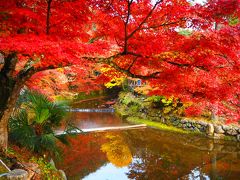 2016岩屋堂公園の紅葉