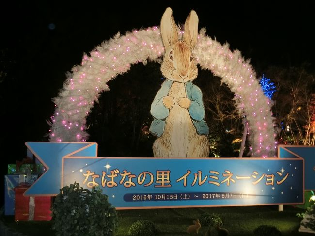 近所の人たちと貸し切りバスを頼んでなばなの里のイルミネーションと木曽三川公園のイルミネーションを観に行って来ました。<br /><br />タクシー会社(観光バスもあり)で20人乗り程度のマイクロバスを運転手さん付きでレンタルして行きたいところの計画を立てて連れて行って貰います。<br /><br />午後2時前の出発で夜8時頃まででしたが、バス代45000円で10人の参加だから、4500円です。<br />なばなの里の入園券は、1000円の金券付きで2300円ですので、1人6800円です。<br />旅行会社のバスツアーもありますが、家の側からの出発で行きたいところだけ連れて行って貰えるので格安になりました。人数がもっと増えればもっと安くなりますね。<br /><br />天気予報では、この1週間、ずっと朝からの雨マークでしたが、晴れ女の私の威力は、今回も活躍したようで、3時前後に入園してベゴニアガーデンなどを見て回り、4時半頃に食事をして5時過ぎからイルミネーションを見たのですが、雨は降らなくて、傘は、かばんの中…。<br /><br />6時過ぎになばなの里の外に出てバスに乗る頃にと雨がポツリポツリと…。<br />イルミネーションで傘の花が咲いていたら嫌だなと話していたのに全然降られなかったです。<br />もともと私は、傘を差すつもりもなく降らないだろうと思っていましたけどね。<br /><br />雨予報だったおかげで個人客は、減ったのか、貸し切り状態で楽しめましたよ。帰りの駐車場を見るとバス会社のバスが、10数台停まっていました。バスツアーは、中止に出来ないものね。<br />いいタイミングで行けたねって話していました。<br /><br />帰りに海津市にある木曽三川公園のイルミネーションも観て来ました。ここもとても綺麗でした。<br />雨が降ったおかげで地面の水たまりもイルミネーションが写って綺麗でした。<br />ここは、傘があっても気にならなかったです。雨で6時半頃だったので人影もまばらでしたしね。<br />でも予報では、強い雨って言ってたみたいですが、気になるような雨じゃなかったです。<br /><br />