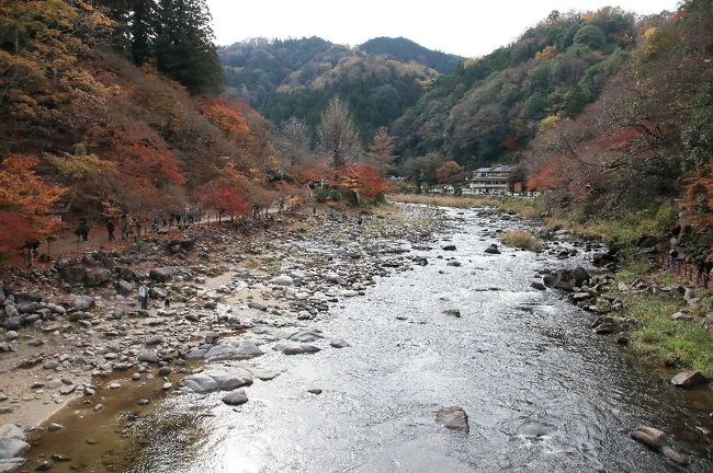 東海地方の紅葉の名所　香嵐渓を訪れた。<br /><br />紅葉の盛は過ぎていたが、所々に綺麗な紅葉が残っていた。<br /><br /><br />表紙の写真は、待月橋からの景色<br /><br />