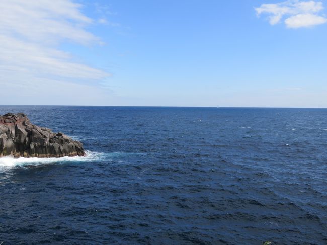 本日のご予定は城ケ崎海岸をハイキングします。<br />その後、場所を伊豆高原へと移して地ビールのお店へ。<br /><br />昨日に続き、高～い所が多いので姉さんはビクビク・・・。<br />他三名は全然へっちゃらデス・・・。<br /><br />海は綺麗だし、お日様いっぱい！<br /><br />本日も良い日になりそうデス♪