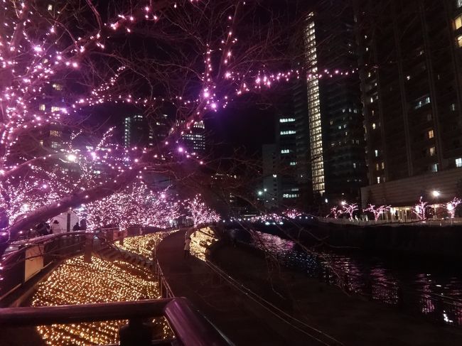 この時期になるとクリスマスや忘年会、新年会と続き<br />しかも何故か高級料理が食べたくなりますよね?<br />(暑い夏はそんなことはないのに・・・)<br /><br />どうしてなのでしょう?<br />風邪をひかないよう冬の寒さを凌ぐために脂肪を蓄えなくちゃ!と<br />身体が要求してくるのでしょうかヽ(^o^)丿<br /><br />写真は目黒川のイルミネーションです。<br /><br />