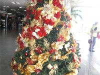 ベネズエラ、クリスマスツリ－
