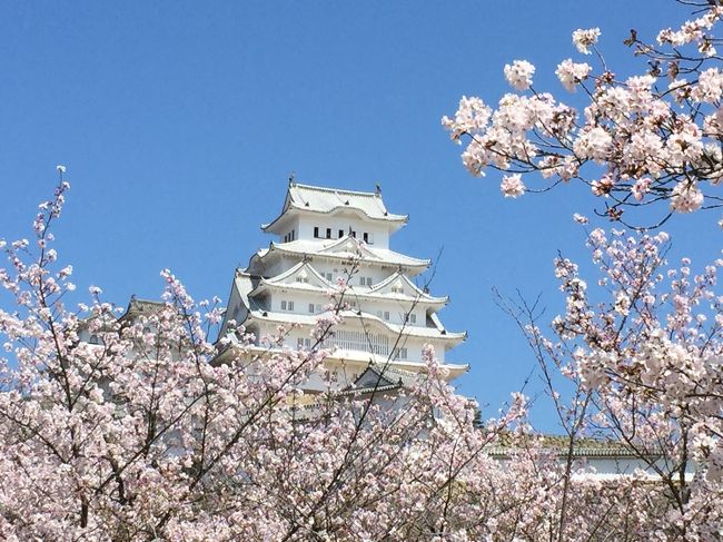 九州の花見は早過ぎて出来なかったので<br />満開のはなみえは近場に行きます。<br />桜と城はなんてこんなに合うのでしょうか。<br /><br />城・神社と桜をセットでご紹介。
