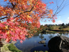 ふっこう割で弾丸熊本　②　水前寺成趣公園＆熊本城