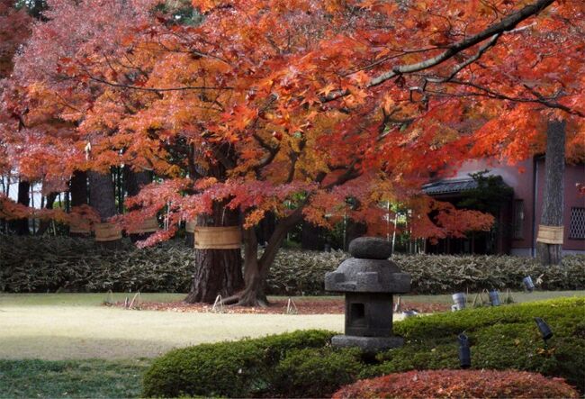 2016荻窪歩き 紅葉とレトロを楽しむお屋敷巡り