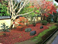 京都散歩　大徳寺でなごり秋を見つけた～興臨院～高桐院～龍源院