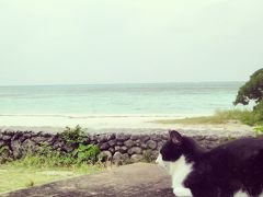 石垣島ふたたび～のんびりひとり暮旅～２