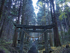 熊本－上色見熊野座神社・高森殿の杉－