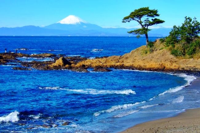 冬晴れの日に 富士山追いかけ 三浦半島西海岸へ