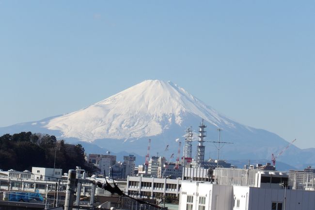 　大船界隈で犬の散歩をしている人に、「この辺りで富士山が綺麗にに見える場所は？」と尋ねると、暫くしてから思い出し、「湘南モノレールの次の駅で下りた時に、大きな富士山が見えましたよ。何という駅だったか…。」。富士見駅ではなく、その次の駅だ。山崎から坂を上って行くと、左手に富士山が見え出す。その下には広大な三菱電機鎌倉製作所とその関係会社の社屋が並んでいる。もちろん丘の上にも三菱電機鎌倉製作所の子会社が建っている。この三菱電機鎌倉製作所とその子会社、関係会社の社員が通勤に使っているのが湘南町屋駅だ。<br />　大船に戻るのに、湘南モノレールに乗ってと思い、改札口でスイカをかざすとブザーが鳴り、入場できなかった。故障だろうと、隣の改札機にかざしても同じであった。スイカでエラーが出たのは初めてのことだったので、改札機を良く見ると、「パスモ、スイカに禁止マーク」が付いている。大企業・三菱電機鎌倉製作所のお膝元の駅だったので驚いてしまった。鎌倉市内なら江ノ電でも路線バスでもパスモやスイカが利用できるのに、もはや湘南モノレールはそうした便利さが排除された首都圏内からは外れた区域となっているのだ。<br />　さすがに、首都圏外の交通システム・湘南モノレールが通る湘南モノレールの湘南町屋駅からは、信じられないほど綺麗な富士山が見られた。<br />（表紙写真は湘南町屋駅から見える富士山）