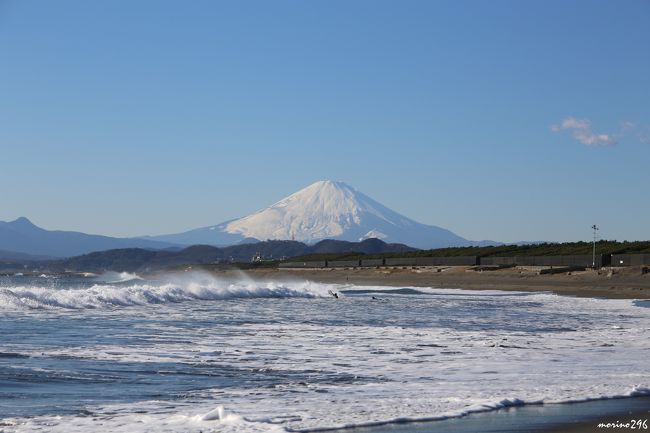 このところ良い天気にもかかわらず富士山にはお目に掛かれないことが続いていたので、何とか、年内に富士山の写真を撮りたいと思っていました。<br />この日は、風もあって気温も低いので、富士山がくっきりと見えるのではないかと期待して出掛けました。<br />まず、向かったのは茅ヶ崎、東海道線の車窓から富士山が見えて、ほっとしながら海岸へ急ぎました。<br />その後は、夕暮れの富士山を見たくて、久々に鎌倉稲村ヶ崎へ。<br /><br />今年の旅行記は、二宮・吾妻山の菜の花と富士山でスタートし、最後もこの旅行記の富士山で締めくくるつもりです。<br />「吾妻山の菜の花と富士山」はこちらです。<br />http://4travel.jp/travelogue/11090905<br /><br />富士山の写真ばかりですが、宜しければご覧ください。<br />