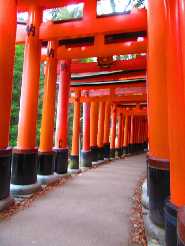 4年ぶりの京都です。駆け足の京都旅行は天候や体調などで、自分の思うように進まない事が多かったけど、でも終わってみれば楽しい旅行でした。<br /><br />今回の旅は新幹線とホテルがセットになった旅行会社のフリーツアーです。<br />2泊3日で25000円程。<br />貧乏旅行のつもりだったのに、結局自分へのお土産(ほとんど食べ物ヽ(*´∀`)ノ)や食事代などで結構使ってしまいました。<br /><br />DAY1:伏見稲荷大社<br />DAY2:大原(大原三千院・宝泉院・寂光院)下賀茂神社、京都御所<br />DAY3:奥嵯峨野(化野念仏寺・祇王寺・常寂光寺)嵐山、祇園周辺<br /><br />