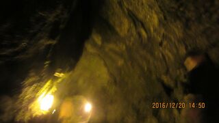 ハワイ島・ヒロ側・溶岩洞窟；　ハワイ四島プライド・オブ・アメリカ号クルーズ　　2016 12 20