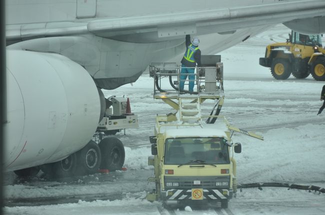 前日からの積雪で、１２月２３日の午前１０時発のJAL５０４便は果たして飛べるだろうかと少し心配したが、多少時間が遅れたものの無事出発し､羽田空港での乗り継ぎも間に合った。<br />驚いたのは翌朝のニュースだ。新千歳空港では、豪雪による欠航や遅延のため約6000人の方々が空港で一夜を過ごされたそうだ。また旅行から帰った翌日に、１２月２４～２７日に沖縄旅行に行った人に聞いた話だが、新千歳空港出発の際、手荷物検査で３時間、搭乗後に１時間待たされてトータル６時間待たされたそうだ。<br />ところで、4トラのトラベラーさんの旅行記を拝見していると、早い時間に最寄りの空港を出発すると昼頃に到着という記載が見られ、初日から見学可能となる。一方、新千歳空港発となると直行便でない限りそうはいかず、今回も新千歳を１０時過ぎに出発して那覇空港到着は午後４時頃なので、あまり見学はできない。でも空港で一夜または二夜を過ごされる方々のことを思うと、申し訳ないぐらい。<br /><br />