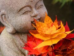 奥久慈の紅葉を求めて（旧上岡小・永源寺）